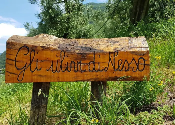 Gli Ulivi Di Nesso